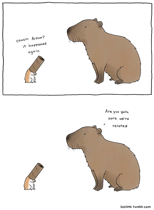 Capybara Meme 6