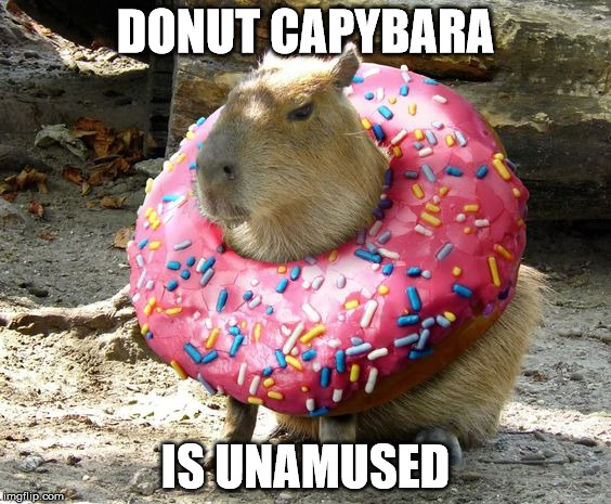 Capybara Meme 7